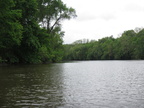 IMG 4713